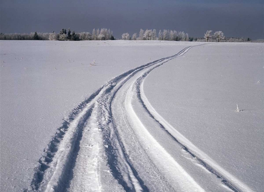 Wall Art Painting id:128673, Name: Canada, Manitoba, Tire tracks in snow landscape, Artist: Grandmaison, Mike