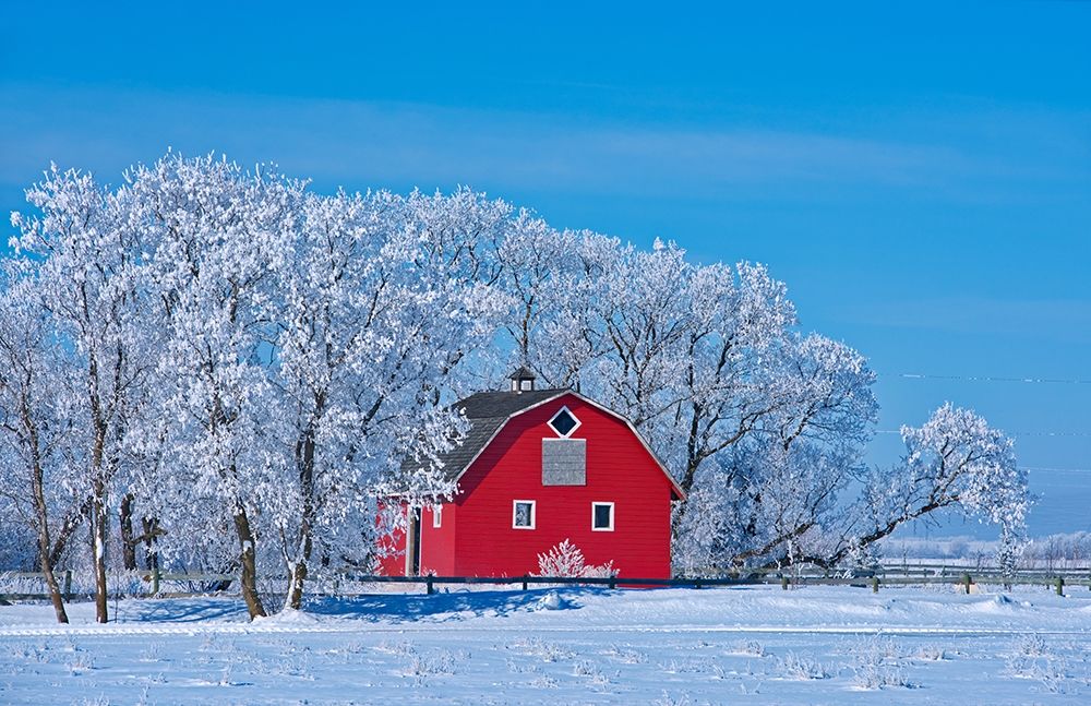 Wall Art Painting id:399766, Name: Canada-Manitoba-Deacons Corner Red barn surrounded by trees covered with hoarfrost, Artist: Jaynes Gallery