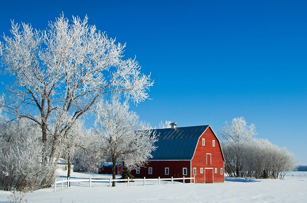 Wall Art Painting id:399784, Name: Canada-Manitoba-Grande Pointe Hoarfrost and red barn in winter, Artist: Jaynes Gallery