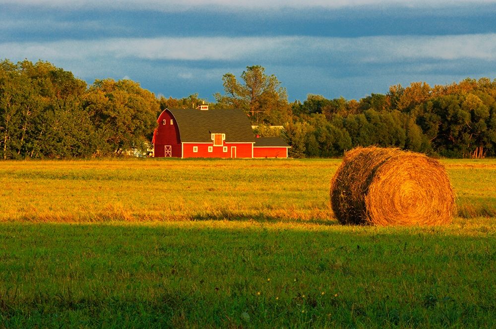 Wall Art Painting id:399785, Name: Canada-Manitoba-Matlock Red barn and bale at sunrise, Artist: Jaynes Gallery