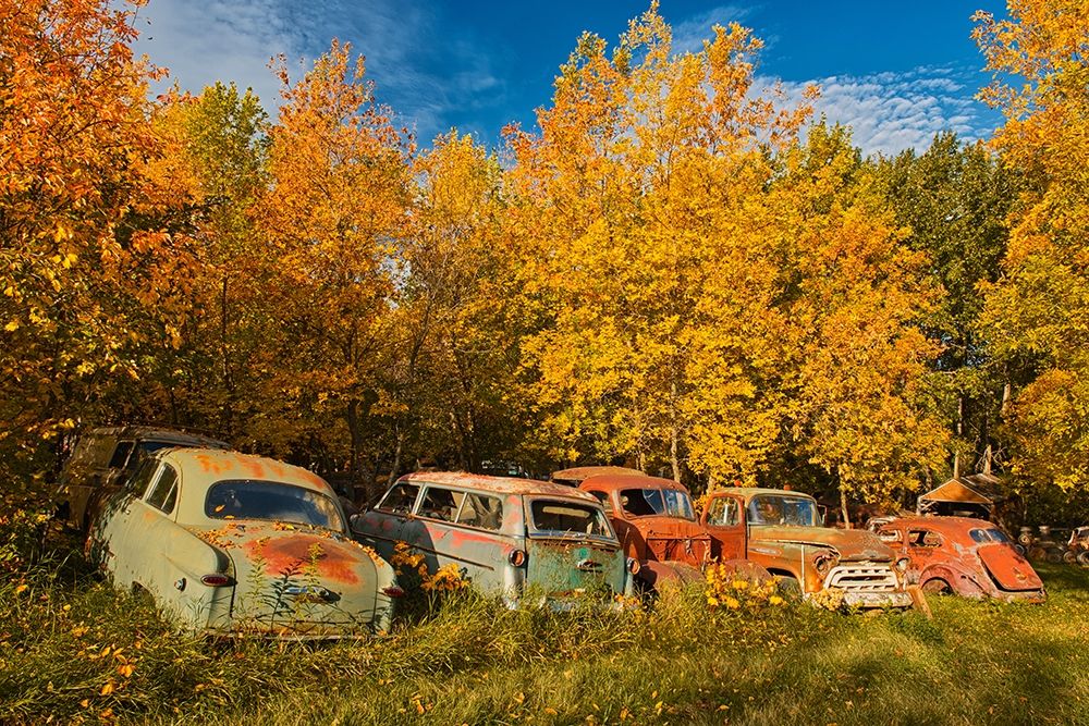 Wall Art Painting id:399795, Name: Canada-Manitoba-St Lupicin Vintage old vehicles in wrecking yard, Artist: Jaynes Gallery