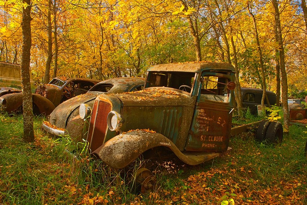 Wall Art Painting id:399797, Name: Canada-Manitoba-St Lupicin Vintage old vehicles in wrecking yard, Artist: Jaynes Gallery