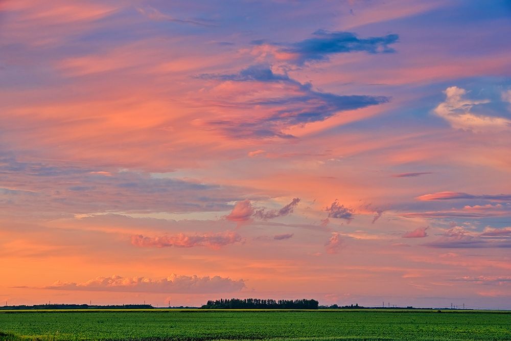 Wall Art Painting id:399871, Name: Canada-Manitoba-Dugald Clouds at sunset on prairie, Artist: Jaynes Gallery