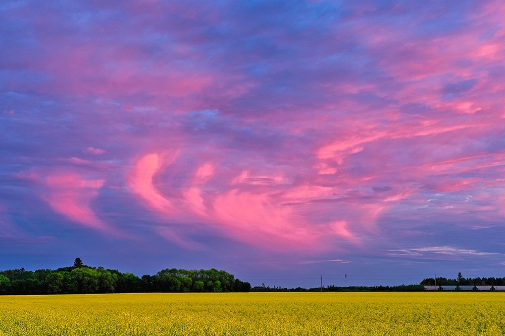 Wall Art Painting id:399872, Name: Canada-Manitoba-Dugald Clouds at sunset on prairie, Artist: Jaynes Gallery