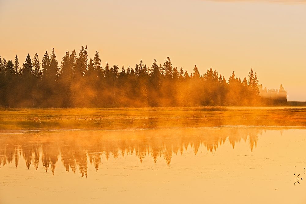 Wall Art Painting id:399874, Name: Canada-Manitoba-Riding Mountain National Park Fog rising above Whirlpool Lake at sunrise, Artist: Jaynes Gallery