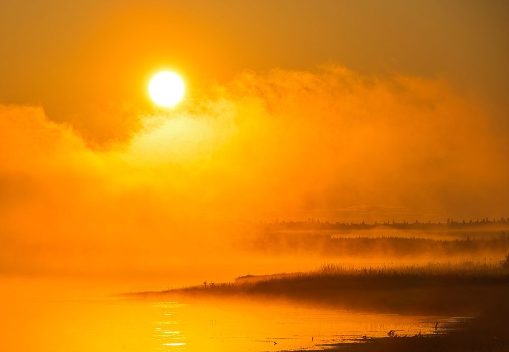 Wall Art Painting id:399875, Name: Canada-Manitoba-Riding Mountain National Park Fog rising above Whirlpool Lake at sunrise, Artist: Jaynes Gallery