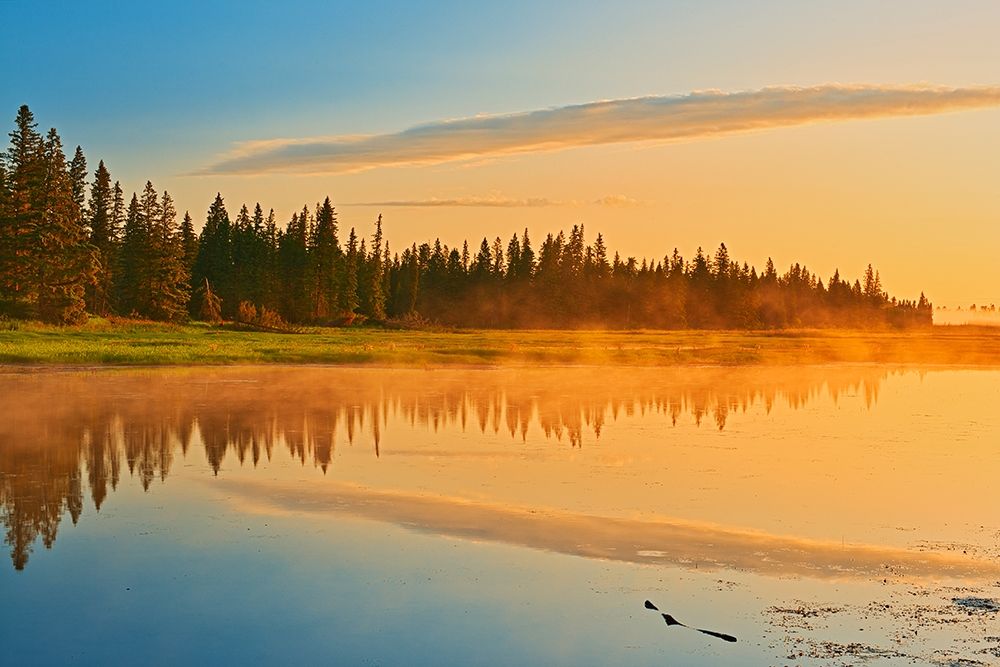 Wall Art Painting id:399876, Name: Canada-Manitoba-Riding Mountain National Park Fog rising above Whirlpool Lake at sunrise, Artist: Jaynes Gallery