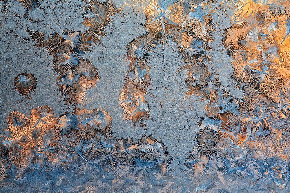 Wall Art Painting id:650985, Name: Canada-Manitoba-Winnipeg Sunrise on window frost patterns in winter, Artist: Jaynes Gallery