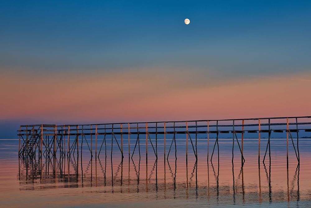 Wall Art Painting id:650996, Name: Canada-Manitoba-Matlock Pier on Lake Winnipeg at dusk with moon, Artist: Jaynes Gallery