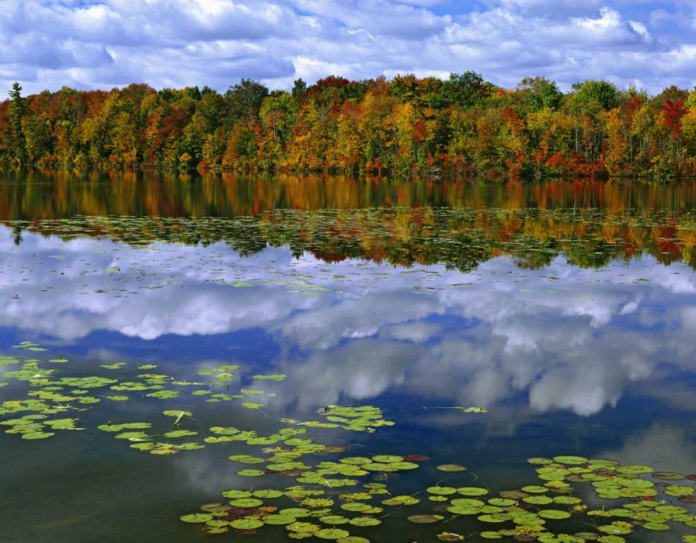 Wall Art Painting id:127534, Name: Canada, Ontario Park Haven Lake in autumn, Artist: Flaherty, Dennis