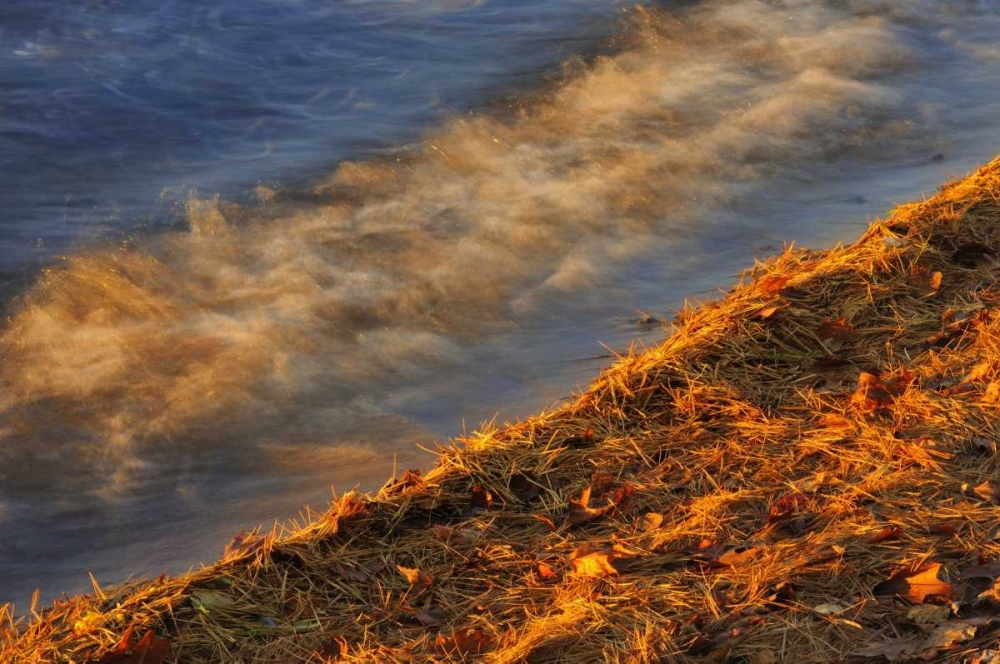 Wall Art Painting id:128679, Name: Canada, Ontario Waves on shore of Lake Muskoka, Artist: Grandmaison, Mike