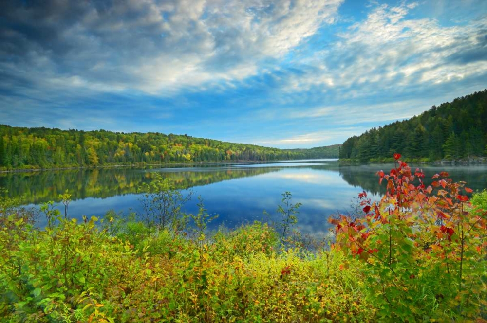 Wall Art Painting id:128709, Name: Canada, Algonquin PP Landscape of Costello Lake, Artist: Grandmaison, Mike