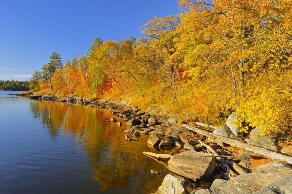 Wall Art Painting id:128605, Name: Canada, Ontario, Autumn at Lake of the Woods, Artist: Grandmaison, Mike