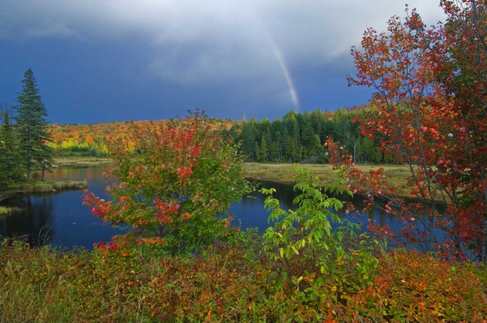 Wall Art Painting id:128625, Name: Canada, Ontario Rainbow and maples in autumn, Artist: Grandmaison, Mike