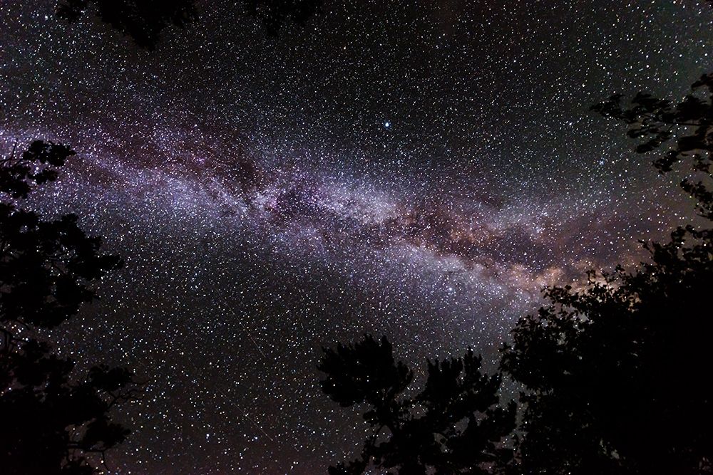 Wall Art Painting id:399987, Name: Canada-Ontario-Sioux Narrows Provincial Park-Night sky with Milky Way, Artist: Jaynes Gallery