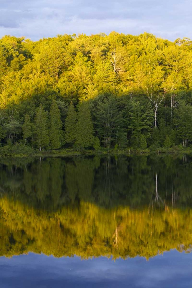 Wall Art Painting id:127258, Name: Canada, Quebec, Sunset on Lake Long Pond, Artist: Delisle, Gilles