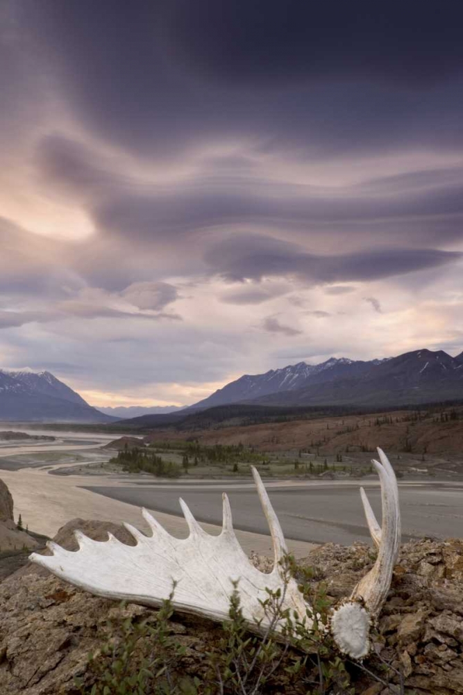 Wall Art Painting id:132917, Name: Canada, BC, Yukon, Moose antler and landscape, Artist: Paulson, Don