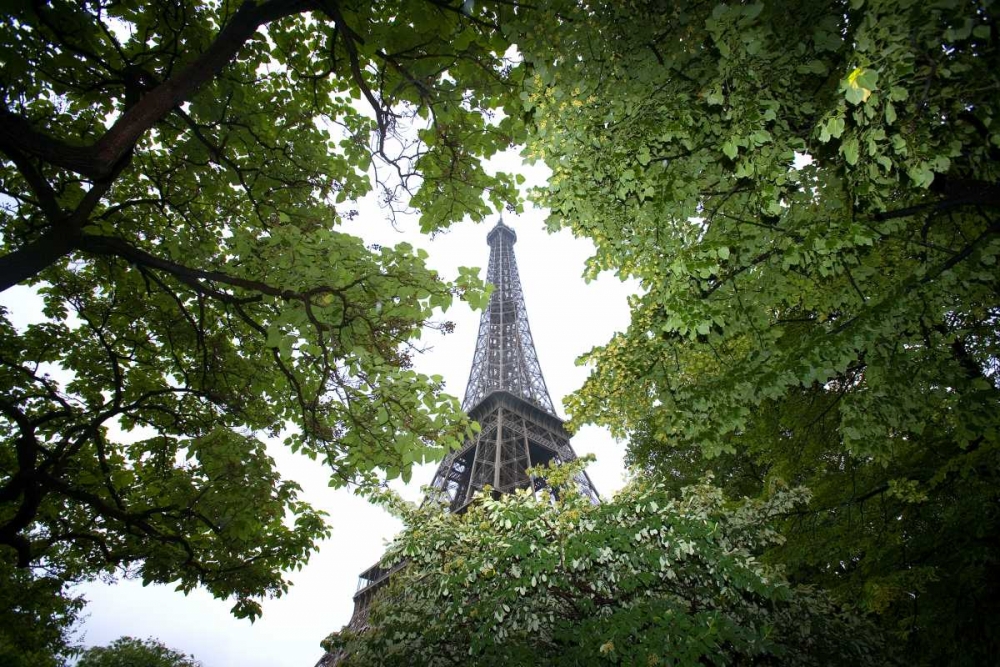 Wall Art Painting id:136805, Name: France, Paris Portion of Eiffel Tower in daytime, Artist: Zuckerman, Jim