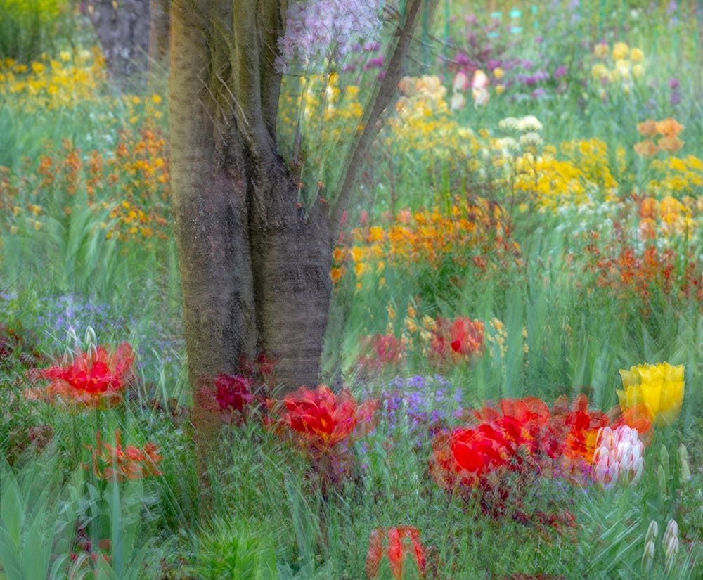 Wall Art Painting id:400186, Name: France-Giverny Impression of flowers in Monets Garden , Artist: Jaynes Gallery