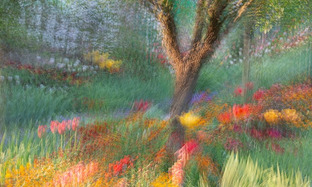 Wall Art Painting id:400215, Name: France-Giverny Impression of flowers in Monets Garden , Artist: Jaynes Gallery