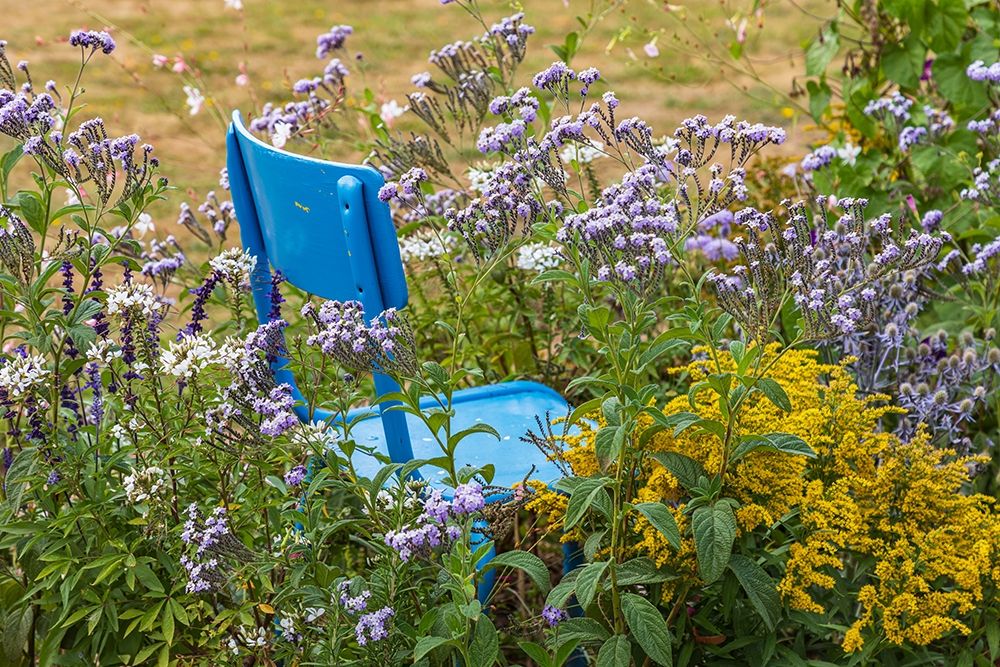 Wall Art Painting id:400221, Name: France-Haute-Vienne-Limoges Flowers and a chair in a garden in Limoges, Artist: Wilson, Emily