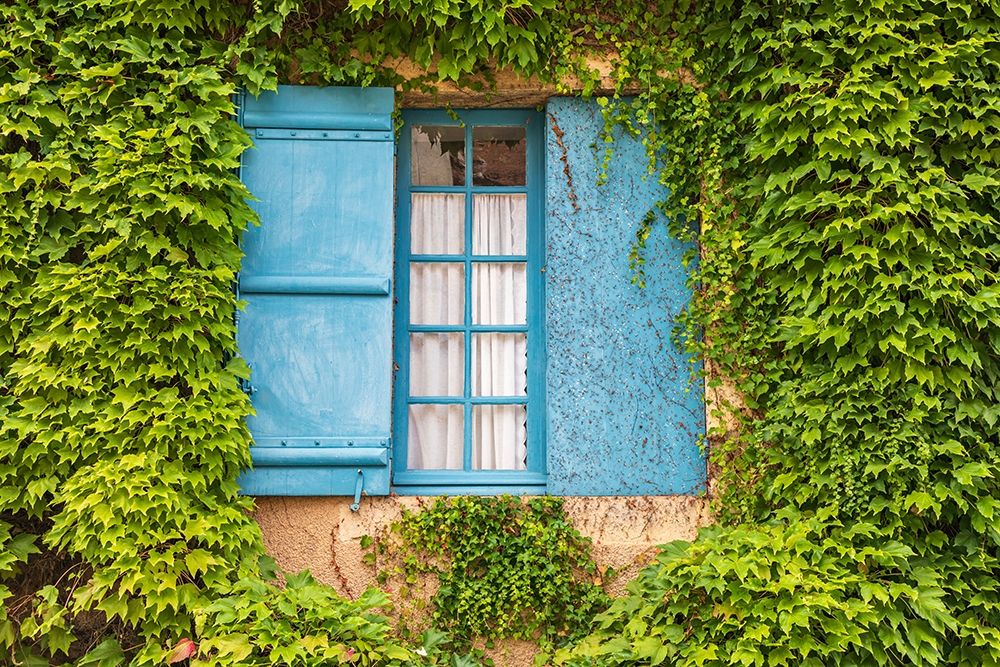 Wall Art Painting id:400226, Name: France-Dordogne-Hautefort A blue shuttered window in an ivy covered wall in the town of Hautefort, Artist: Wilson, Emily