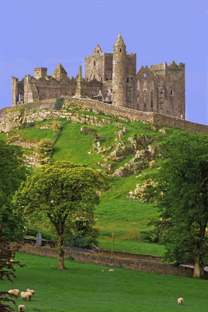 Wall Art Painting id:127879, Name: Ireland, Co Tipperary Rock of Cashel fortress, Artist: Flaherty, Dennis