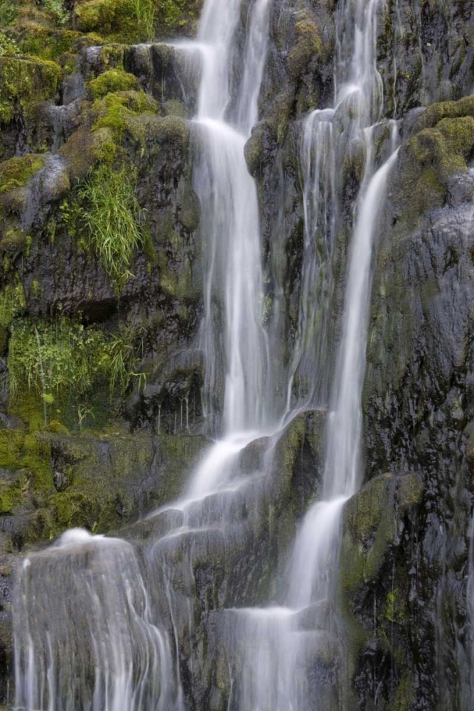Wall Art Painting id:130440, Name: Ireland, Donegal View of Assarnacally Waterfall, Artist: Kaveney, Wendy