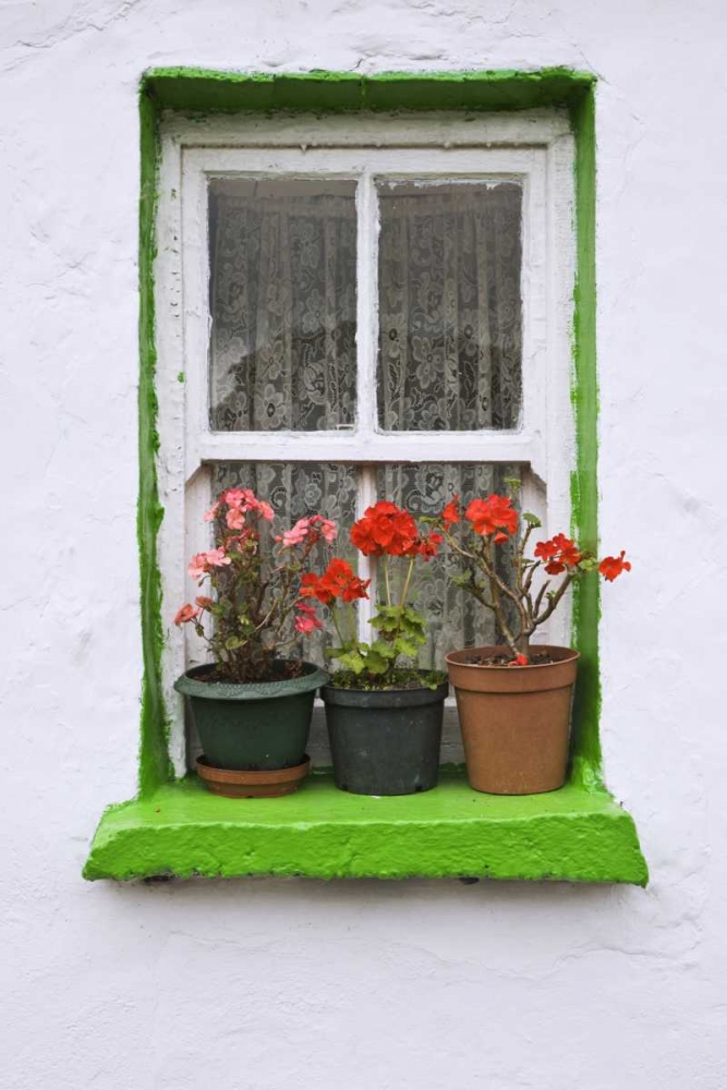 Wall Art Painting id:127908, Name: Ireland, Cashel Potted flowers on a window sill, Artist: Flaherty, Dennis