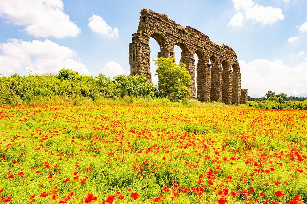 Wall Art Painting id:402878, Name: Italy-Rome Parc of the Aqueducts (Parco degli Acquedotti)-Acqua Claudio, Artist: Jones, Alison