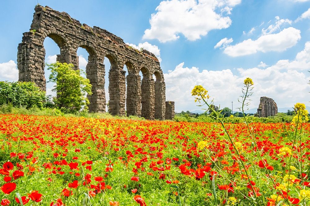 Wall Art Painting id:402879, Name: Italy-Rome Parc of the Aqueducts (Parco degli Acquedotti)-Acqua Claudio, Artist: Jones, Alison