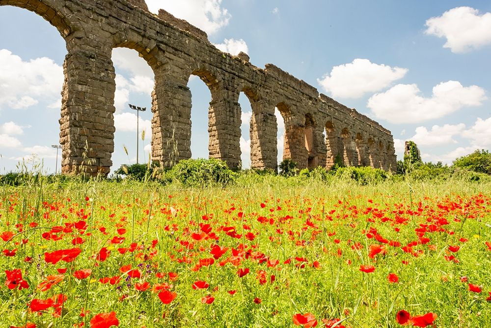 Wall Art Painting id:402880, Name: Italy-Rome Parc of the Aqueducts (Parco degli Acquedotti)-Acqua Claudio, Artist: Jones, Alison