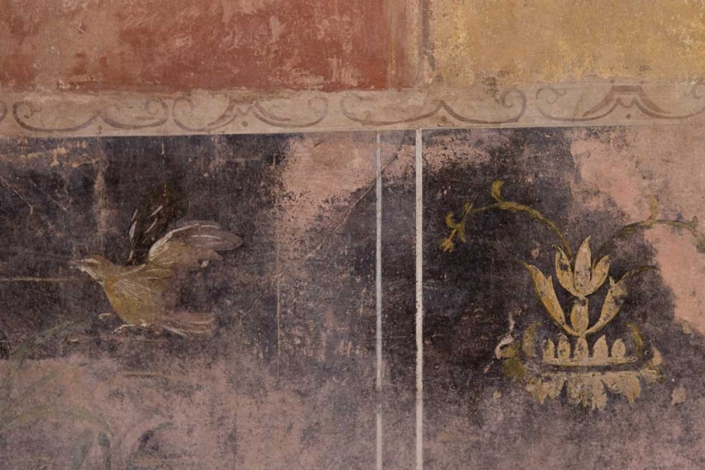 Wall Art Painting id:130319, Name: Italy, Campania, Pompeii Fullery of Stephanus, Artist: Kaveney, Wendy