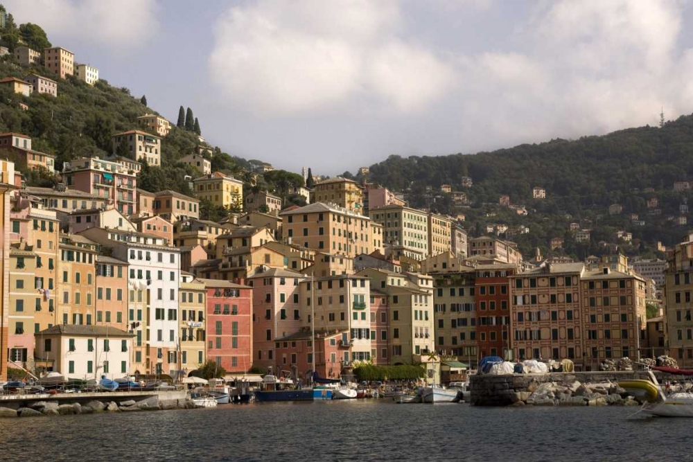 Wall Art Painting id:129919, Name: Italy, Camogli Boats moored in harbor, Artist: Kaveney, Wendy