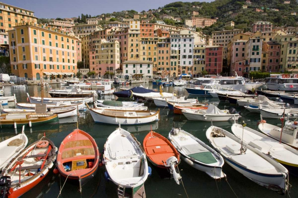 Wall Art Painting id:129920, Name: Italy, Camogli Boats moored in harbor, Artist: Kaveney, Wendy