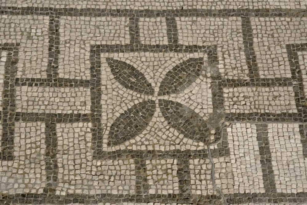 Wall Art Painting id:130357, Name: Italy, Campania, Pompeii Mosaic floor patterns, Artist: Kaveney, Wendy