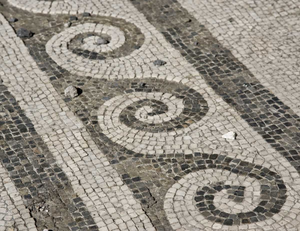 Wall Art Painting id:130360, Name: Italy, Campania, Pompeii Mosaic floor patterns, Artist: Kaveney, Wendy
