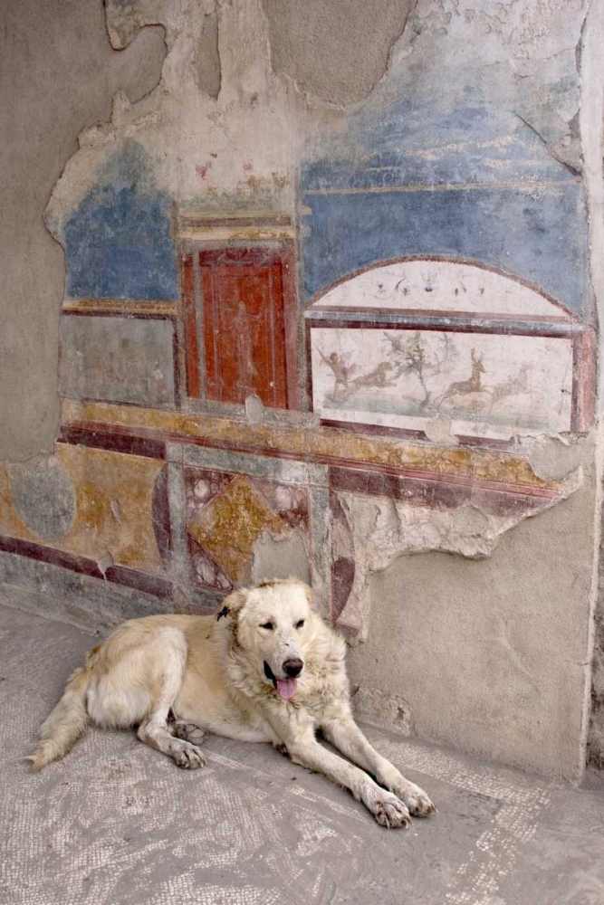 Wall Art Painting id:130442, Name: Italy, Campania, Pompeii A stray dog and fresco, Artist: Kaveney, Wendy