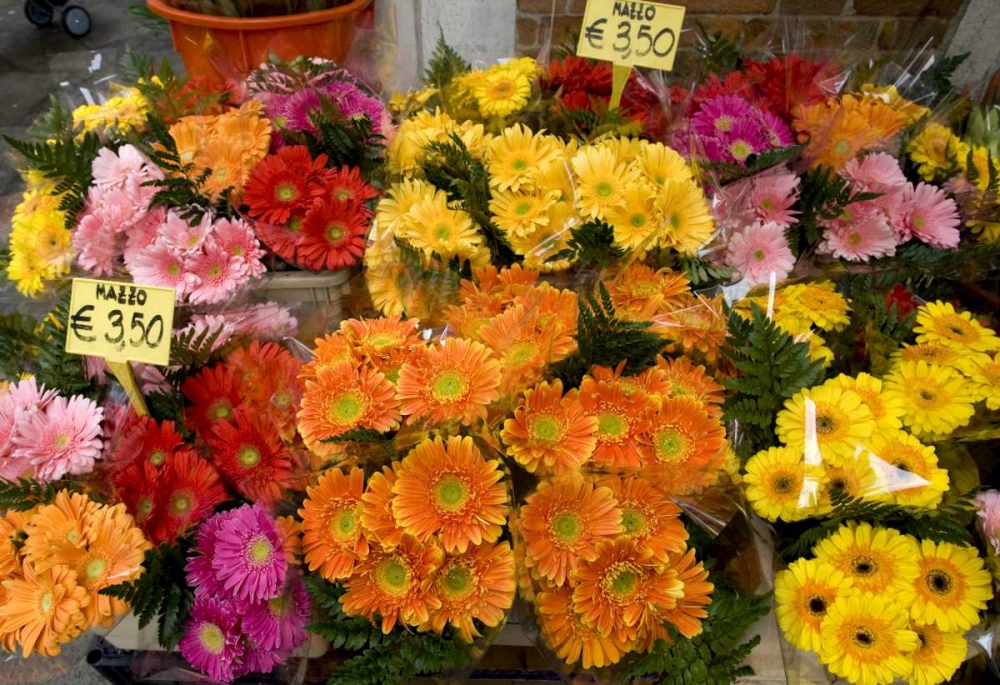 Wall Art Painting id:130066, Name: Italy, Venice Flowers for sale in a market, Artist: Kaveney, Wendy