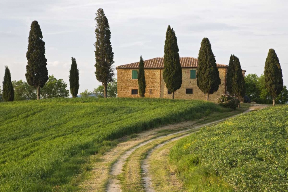 Wall Art Painting id:128020, Name: Italy, Tuscany, Pienza View of countryside villa, Artist: Flaherty, Dennis