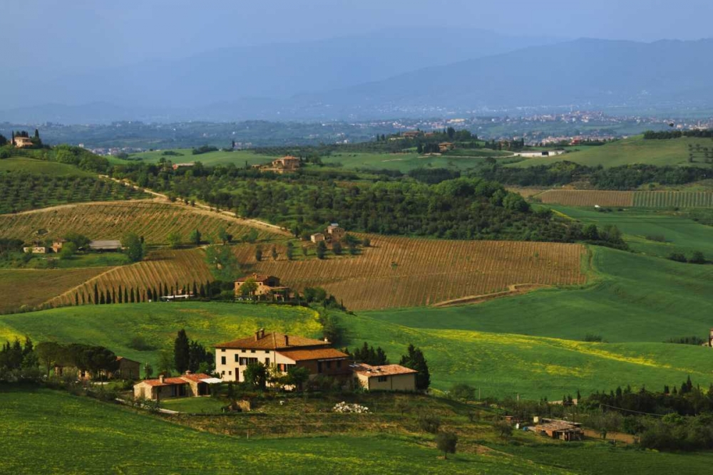 Wall Art Painting id:127435, Name: Italy, Tuscany Val dOrcia countryside, Artist: Flaherty, Dennis