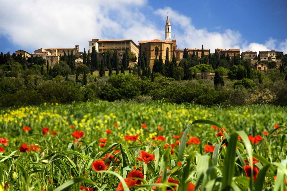 Wall Art Painting id:127501, Name: Italy, Poppies bloom below Pienza village, Artist: Flaherty, Dennis