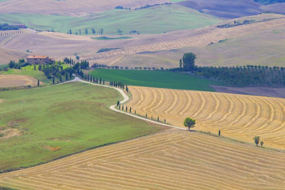 Wall Art Painting id:127255, Name: Italy, Tuscany, Pienza Tuscan landscape, Artist: Delisle, Gilles