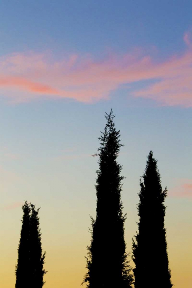 Wall Art Painting id:127352, Name: Italy, Orvieto Cypress trees and cloud at sunset, Artist: Delisle, Gilles