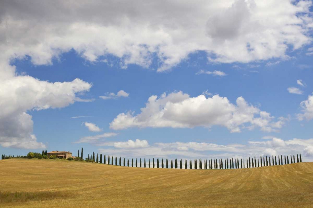 Wall Art Painting id:127353, Name: Italy, Tuscany Cypress tree alley and farm house, Artist: Delisle, Gilles