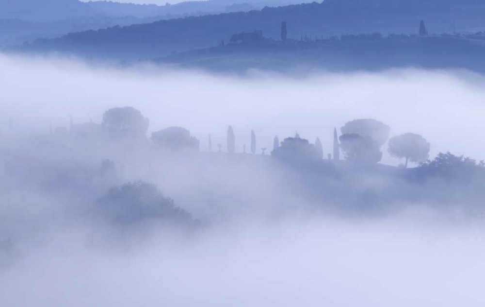 Wall Art Painting id:127303, Name: Italy, Tuscany, Pienza Morning fog over town, Artist: Delisle, Gilles