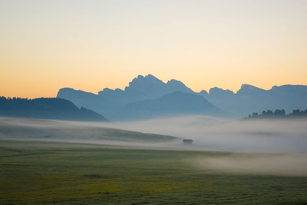 Wall Art Painting id:517973, Name: Europe-Italy-South Tirol-Sunrise on the Sasso Lungo and Sasso Piatto Mountains, Artist: Jaynes Gallery