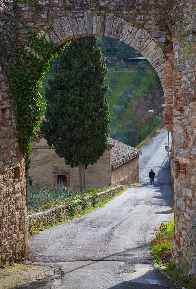 Wall Art Painting id:518009, Name: Europe-Italy-Tuscany-Val d Orcia-Lone person walking on rural road, Artist: Jaynes Gallery