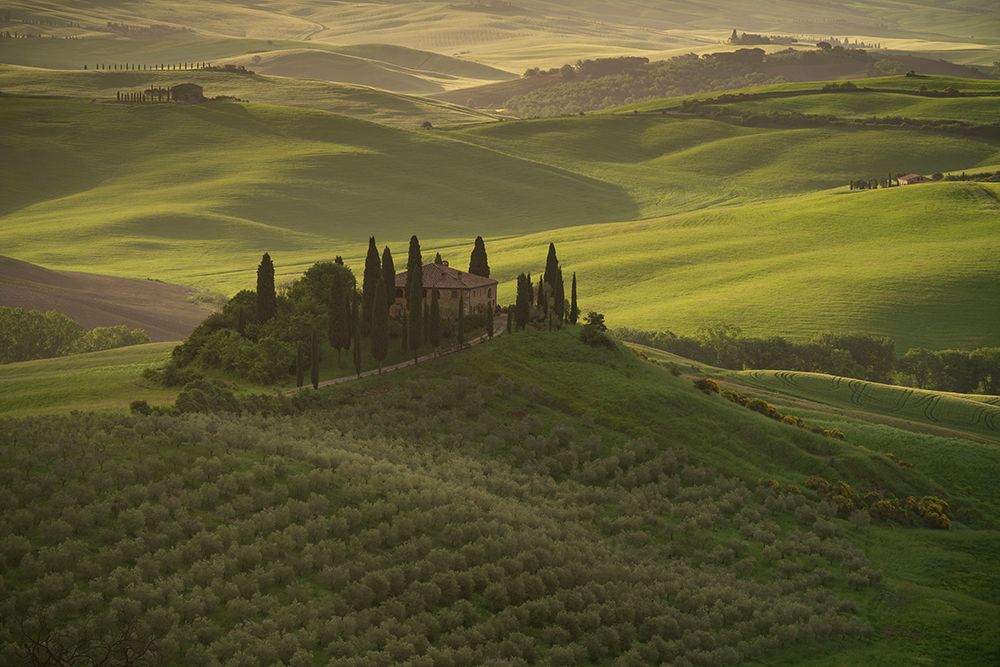 Wall Art Painting id:518010, Name: Europe-Italy-Tuscany-Val dOrcia-Belvedere farmhouse at sunrise , Artist: Jaynes Gallery