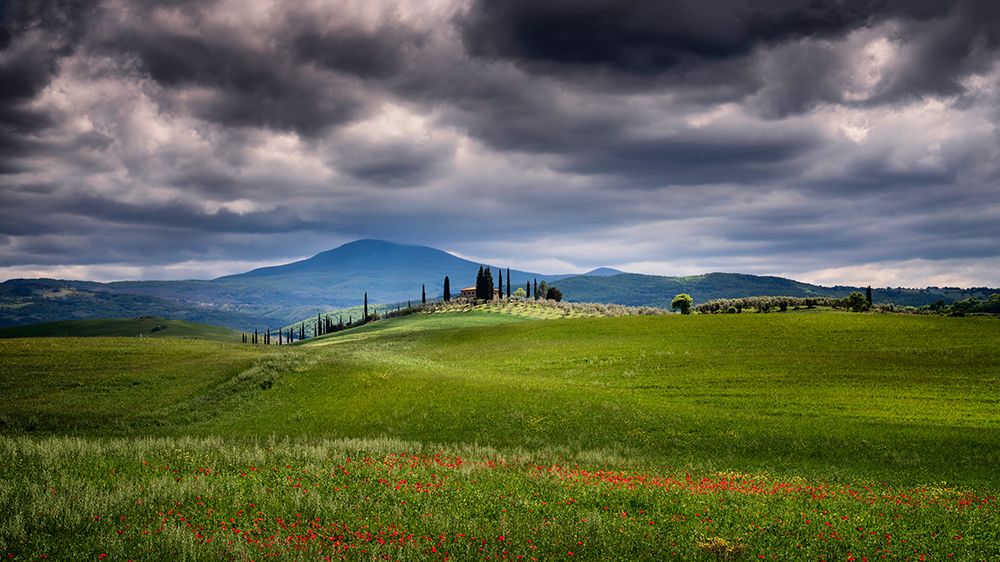 Wall Art Painting id:518015, Name: Europe-Italy-Tuscany-Val d Orcia-Farmland under stormy sky, Artist: Jaynes Gallery